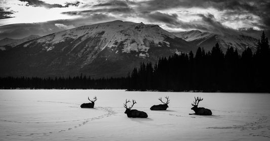 8 Tips for Outstanding Black & White Images