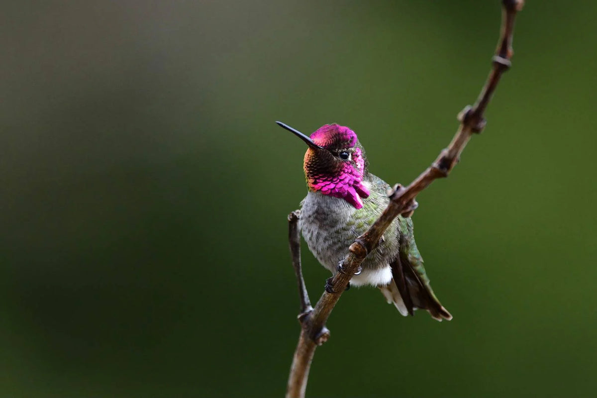 Photography featured in the Learn Photography Company Mastery program