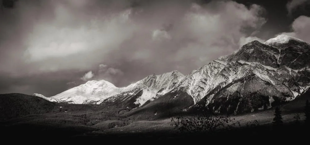 Photography from the LPC ELITE project collection
